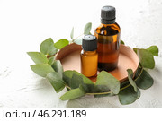 Bottles of eucalyptus essential oil on white background. Стоковое фото, фотограф Pixel_shot / Фотобанк Лори