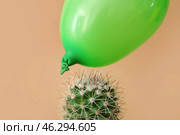 Cactus and air balloon on color background. Стоковое фото, фотограф Pixel_shot / Фотобанк Лори