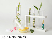 Plant based pills with mortar and test tubes on white background. Стоковое фото, фотограф Pixel_shot / Фотобанк Лори