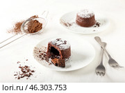 Plate with tasty lava cake fondant on light background. Стоковое фото, фотограф Pixel_shot / Фотобанк Лори