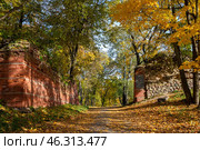 Золотая осень у стен старой крепости. Гдов, Псковская область. Стоковое фото, фотограф Анна Карасева / Фотобанк Лори