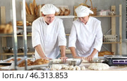 Two chefs knead dough and communicate while working. Стоковое видео, видеограф Яков Филимонов / Фотобанк Лори