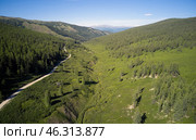 Aerial photo of Yazula mountain pass road in Altai. Valley of a mountain stream with Dasiphora fruticosa bushes. Стоковое фото, фотограф Сергей Пристяжнюк (Serg Zastavkin) / Фотобанк Лори