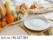 Beautiful autumn table setting with pumpkins. Стоковое фото, фотограф Pixel_shot / Фотобанк Лори