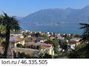 Aerial view of the town center on the shore of Lake Maggiore. Town of Muralto, district of Locarno, canton of Ticino in Switzerland. (2023 год). Стоковое фото, фотограф Bala-Kate / Фотобанк Лори