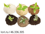 Heaps of different soils with young plants on white background. Стоковое фото, фотограф Pixel_shot / Фотобанк Лори