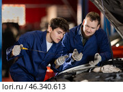 Two auto mechanics checking engine oil level under the hood of car together in garage. Стоковое фото, фотограф Яков Филимонов / Фотобанк Лори