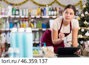 Young woman restocking using tablet in store with New Year decoration. Стоковое фото, фотограф Яков Филимонов / Фотобанк Лори