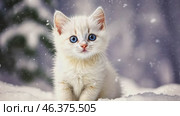 Cute little kitten in winter. White Chinchilla kitten sitting on the snow outdoors during snowfall. Copy space for text. Snowy winter background. Christmas backgrounds with pets. Cold Nature Scene. Стоковое AI-видео, аниматор Марина Демидюк / Фотобанк Лори