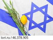 Sukkot festival symbols on flag of Israel. Стоковое фото, фотограф Pixel_shot / Фотобанк Лори