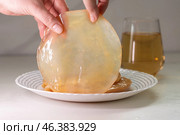 A SCOBY used for Kombucha Brewing is being held in hands, showcasing the process involved. Стоковое фото, фотограф Ольга Коваленко / Фотобанк Лори