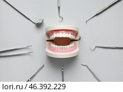 Plastic jaw model with dental tools on white background. World Dentist Day. Стоковое фото, фотограф Pixel_shot / Фотобанк Лори