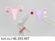 Paper uteruses with gynecological speculum and pap smear test tools on grey background. Стоковое фото, фотограф Pixel_shot / Фотобанк Лори