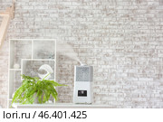 Modern humidifier and houseplant on table in room. Стоковое фото, фотограф Pixel_shot / Фотобанк Лори