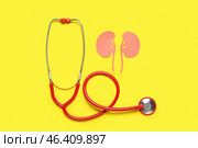 Paper kidneys with stethoscope on yellow background. Стоковое фото, фотограф Pixel_shot / Фотобанк Лори
