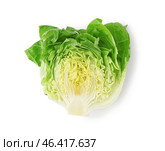 Fresh Boston lettuce on white background. Стоковое фото, фотограф Pixel_shot / Фотобанк Лори
