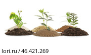 Heaps of different soils with young plants on white background. Стоковое фото, фотограф Pixel_shot / Фотобанк Лори