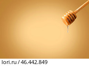 Ковш с вкусным медом на цветном фоне. Стоковое фото, фотограф Pixel_shot / Фотобанк Лори