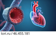 Heart is shown with its blood vessels and the inside of the heart is shown. Стоковое AI-видео, аниматор Sergey Grishin / Фотобанк Лори