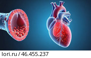 Heart is shown with a red and white background. Стоковое AI-видео, аниматор Sergey Grishin / Фотобанк Лори