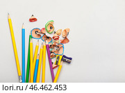 Обычные карандаши и точилки для карандашей на светлом фоне. Стоковое фото, фотограф Pixel_shot / Фотобанк Лори
