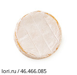 Вкусный сыр бри на белом фоне. Стоковое фото, фотограф Pixel_shot / Фотобанк Лори