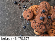 Охладитель с вкусным шоколадным печеньем на темном столе. Стоковое фото, фотограф Pixel_shot / Фотобанк Лори