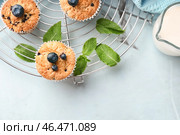 Охлаждающая подставка со вкусными черничными маффинами на столе. Стоковое фото, фотограф Pixel_shot / Фотобанк Лори