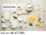 Различные молочные продукты без лактозы на светлом фоне. Стоковое фото, фотограф Pixel_shot / Фотобанк Лори