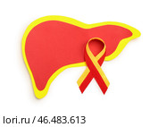 Лента осведомленности с бумажной печенью на белом фоне. Концепция гепатита. Стоковое фото, фотограф Pixel_shot / Фотобанк Лори