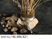 Кензан с красивой икебаной, ножницами и камнями на темном фоне, крупным планом. Стоковое фото, фотограф Pixel_shot / Фотобанк Лори