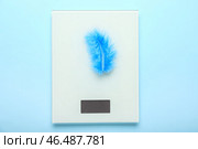 Электронные весы с перьями на цветном фоне. Концепция анорексии. Стоковое фото, фотограф Pixel_shot / Фотобанк Лори