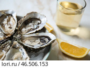 Тарелка с вкусными холодными устрицами на светлом столе, крупным планом. Стоковое фото, фотограф Pixel_shot / Фотобанк Лори