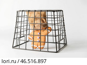 Печенька с мешком на голове в клетке на светлом фоне. Концепция заложника. Стоковое фото, фотограф Pixel_shot / Фотобанк Лори
