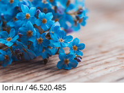 Маленький букет незабудок на старом деревянном столе. Малая глубина резкости. Стоковое фото, фотограф Андрей Пустякин / Фотобанк Лори