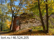 Руины старой крепости осенним днем. Гдов, Псковская область. Стоковое фото, фотограф Анна Карасева / Фотобанк Лори