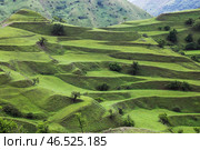 Чохские террасы в Дагестане, древнее террасное земледелие. Стоковое фото, фотограф Римма Тельнова / Фотобанк Лори