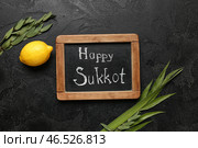 Четыре вида (лулав, хадaс, арава, этрог) и классная доска с текстом СЧАСТЛИВОГО СУККОТА на черном фоне с эффектом гранжа. Стоковое фото, фотограф Pixel_shot / Фотобанк Лори