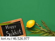 Четыре вида (лулав, хадас, арава, этрог) и меловая доска с надписью СЧАСТЛИВОГО СУККОТ на зеленом фоне. Стоковое фото, фотограф Pixel_shot / Фотобанк Лори