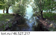 Небольшой водопад впадает в озеро Маджоре. Локарно. Швейцария. Май. A small waterfall flows into Lake Maggiore. Locarno. Switzerland. May. Стоковое видео, видеограф Горшков Александр / Фотобанк Лори