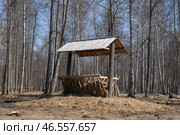 Hay feeder from the forest. bison are visible in the distance. Стоковое фото, фотограф Мария Паина / Фотобанк Лори