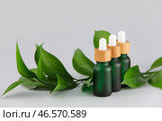Бутылки натурального косметического продукта с экстрактом трав на сером фоне. Стоковое фото, фотограф Pixel_shot / Фотобанк Лори