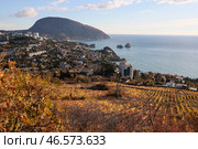 Республика Крым. Поселок Гурзуф и гора Аю-Даг (2022 год). Стоковое фото, фотограф Сергей Мальгавко / ТАСС / Фотобанк Лори