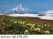 Камчатский край. Вилючинский вулкан. Стоковое фото, фотограф Елена Верещака / ТАСС / Фотобанк Лори