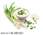 Миска вкусной сметаны с нарезанным луком-пореем и луком на белом фоне. Стоковое фото, фотограф Pixel_shot / Фотобанк Лори