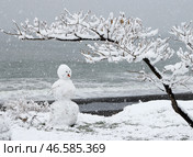 Снеговик под деревом на морском побережье. Стоковое фото, фотограф Сергей Мальгавко / ТАСС / Фотобанк Лори
