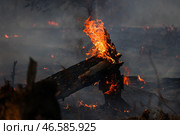 Горящие деревья в лесу. Стоковое фото, фотограф Александр Рюмин / ТАСС / Фотобанк Лори