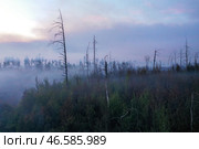 Дым от лесного пожара. Стоковое фото, фотограф Александр Рюмин / ТАСС / Фотобанк Лори