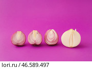 Белый лук среди фиолетовых на цветном фоне. Концепция уникальности. Стоковое фото, фотограф Pixel_shot / Фотобанк Лори