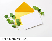 Конверт с пустой карточкой и ветками растений на белом фоне. Стоковое фото, фотограф Pixel_shot / Фотобанк Лори